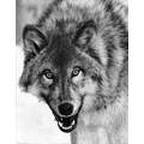 Аватар користувача